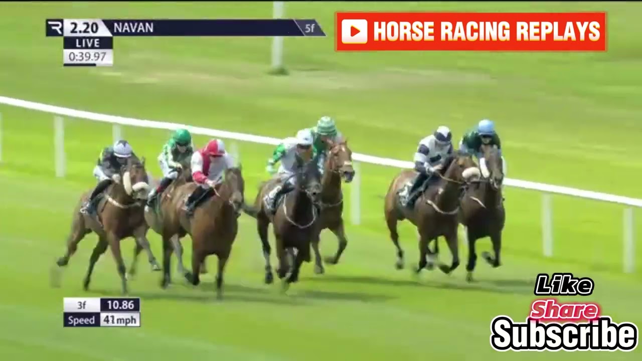 THUNDERBEAR / 2 Race Navan 08 Jun 2024