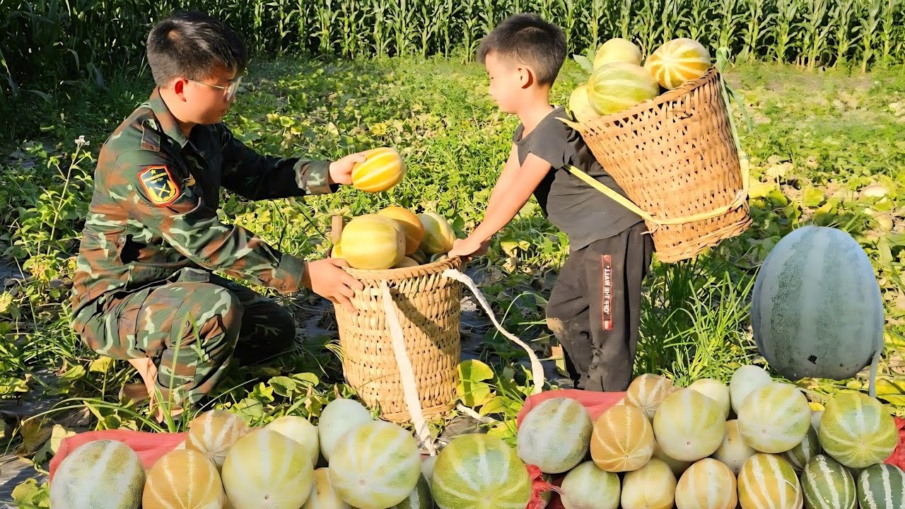 Full Video:Complete the kitchen with bamboo-Build new life-Harvest melons to sell.