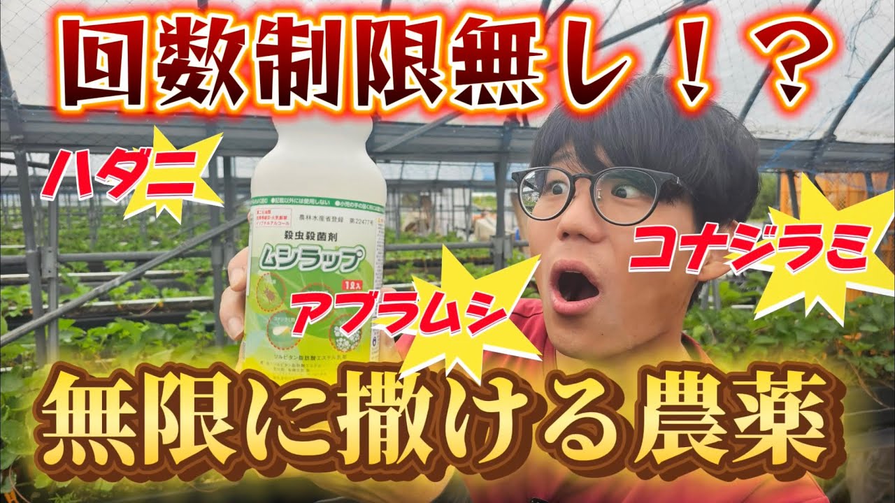 無限に撒ける農薬！？回数制限無し！！ハダニ、アブラムシ、コナジラミにも効く！？