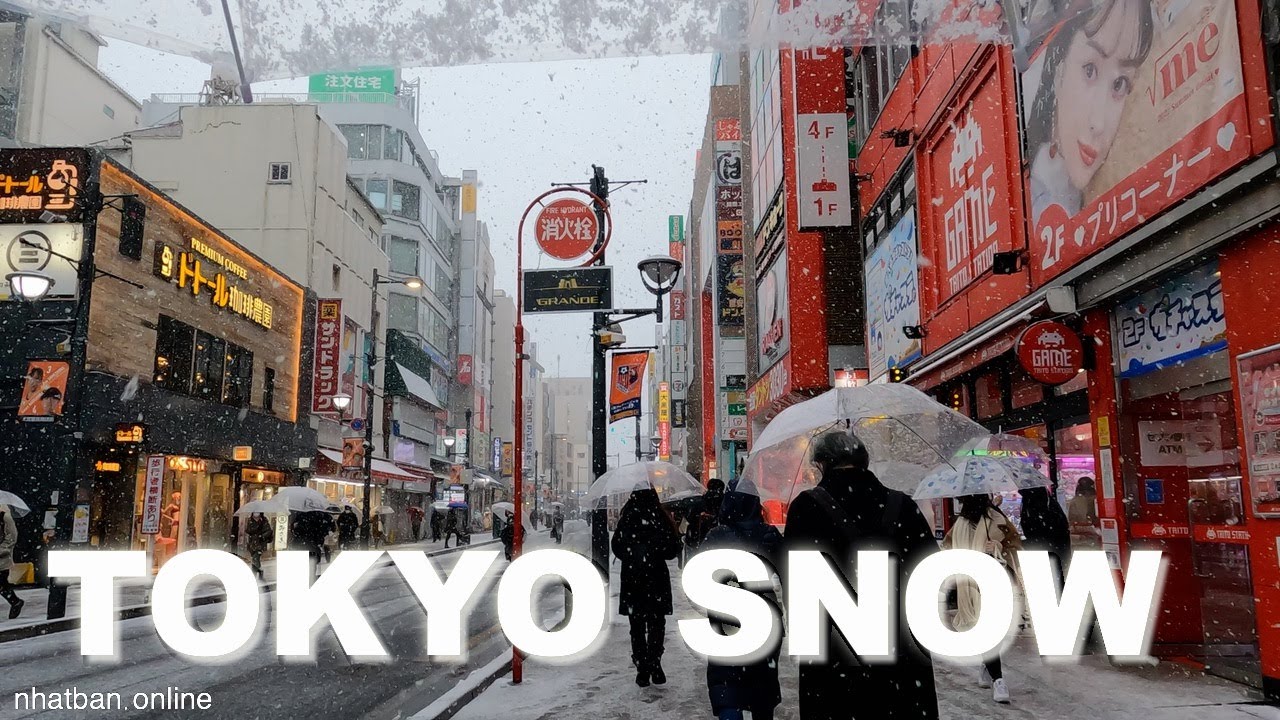 Heavy Snow in Tokyo - Saitama | Explore Japan | #explorejapan #japan #4k