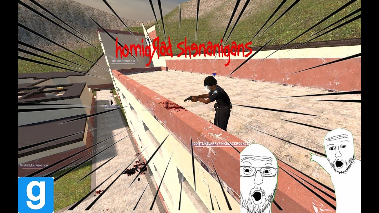 Gmod Homigrad Shenanigans