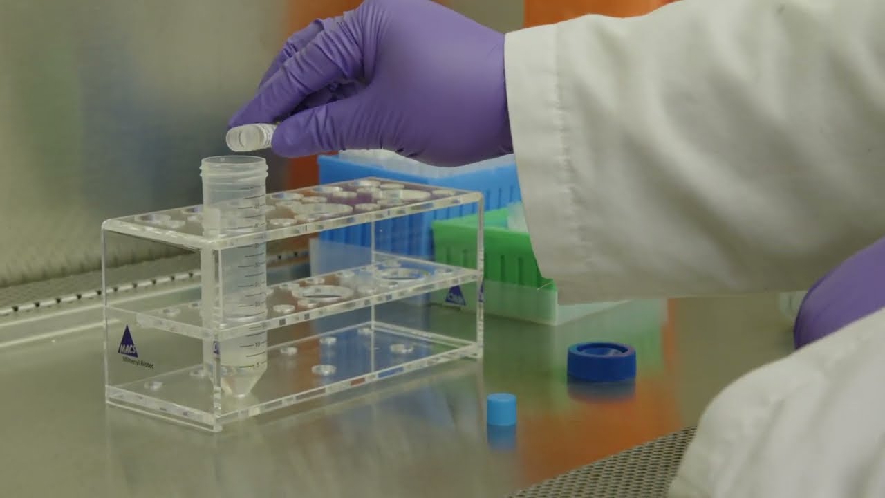 Thawing and Plating Cryoplateable Hepatocytes