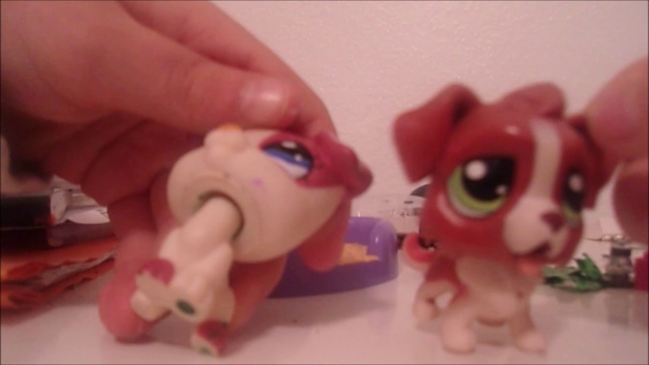 Lps Cucumbers cooking show episode 1