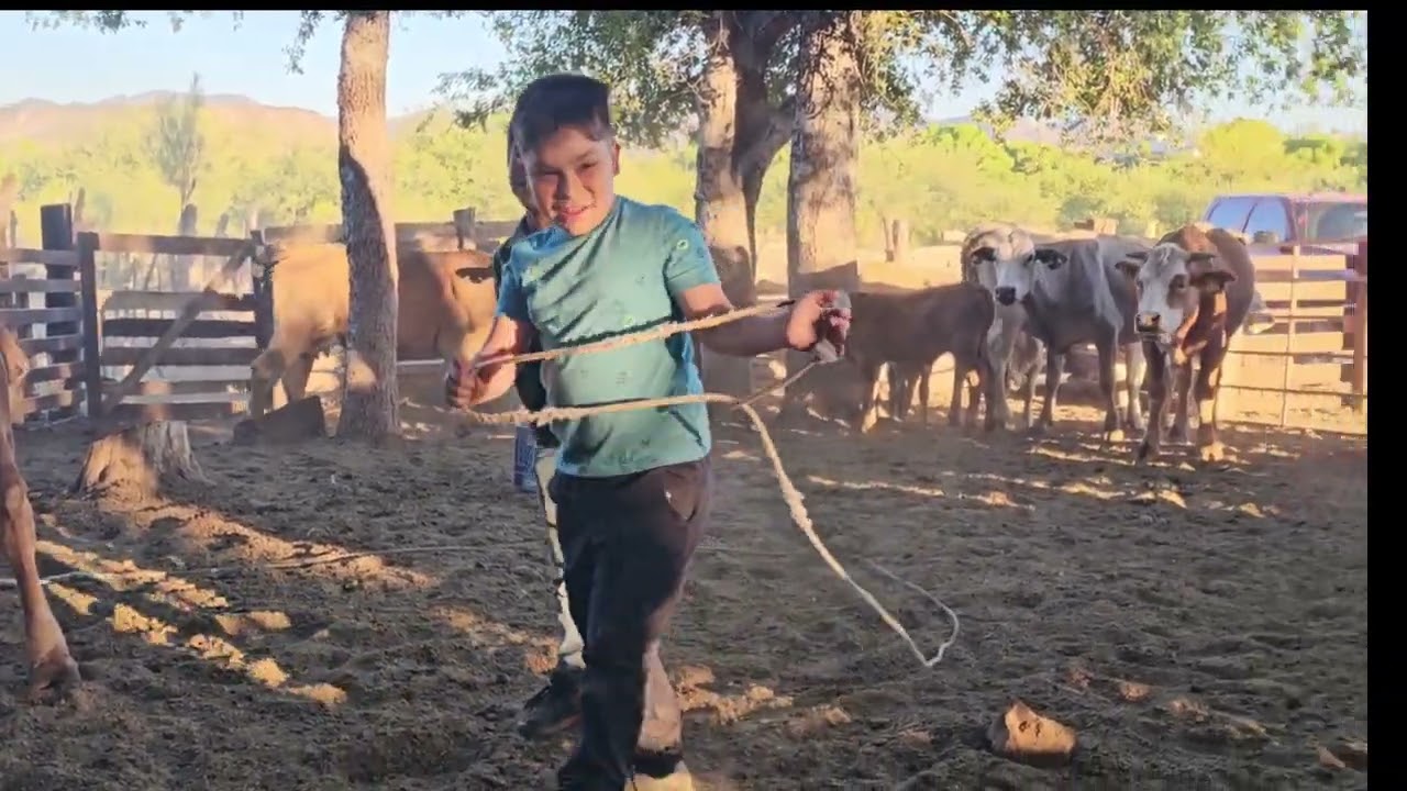 ORDEÑANDO VACAS 🐄. #rancho #vacas #nuevovideo
