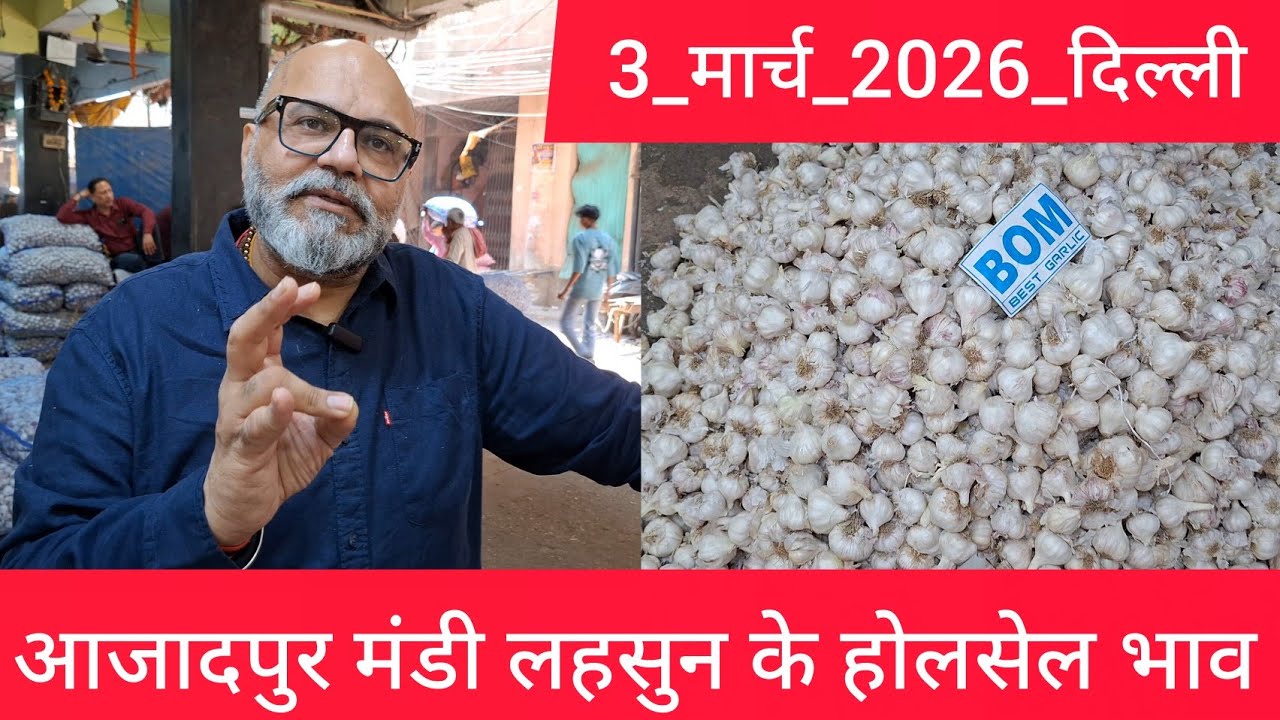 3 March 2026 दिल्ली 🧄 लहसुन के भाव Azadpur delhi mandi today garlic market price #garlicmarket