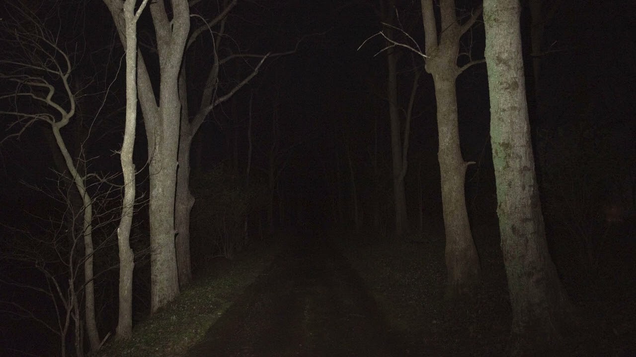Moonless Path