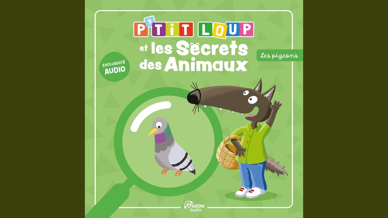P'tit Loup et les secrets des animaux - Les pigeons Pt.3