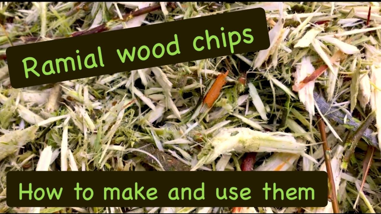 Ramial wood chips, how to make and use them