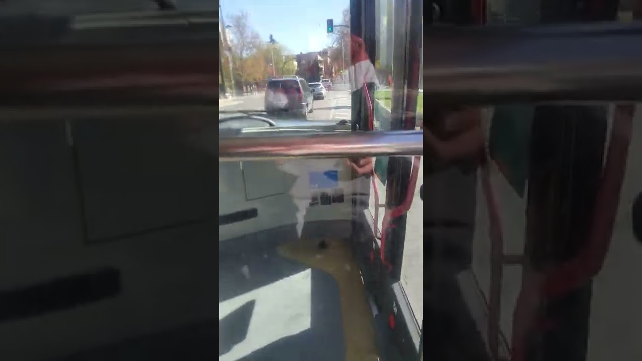 este es bus linea 31 a puerto Venecia