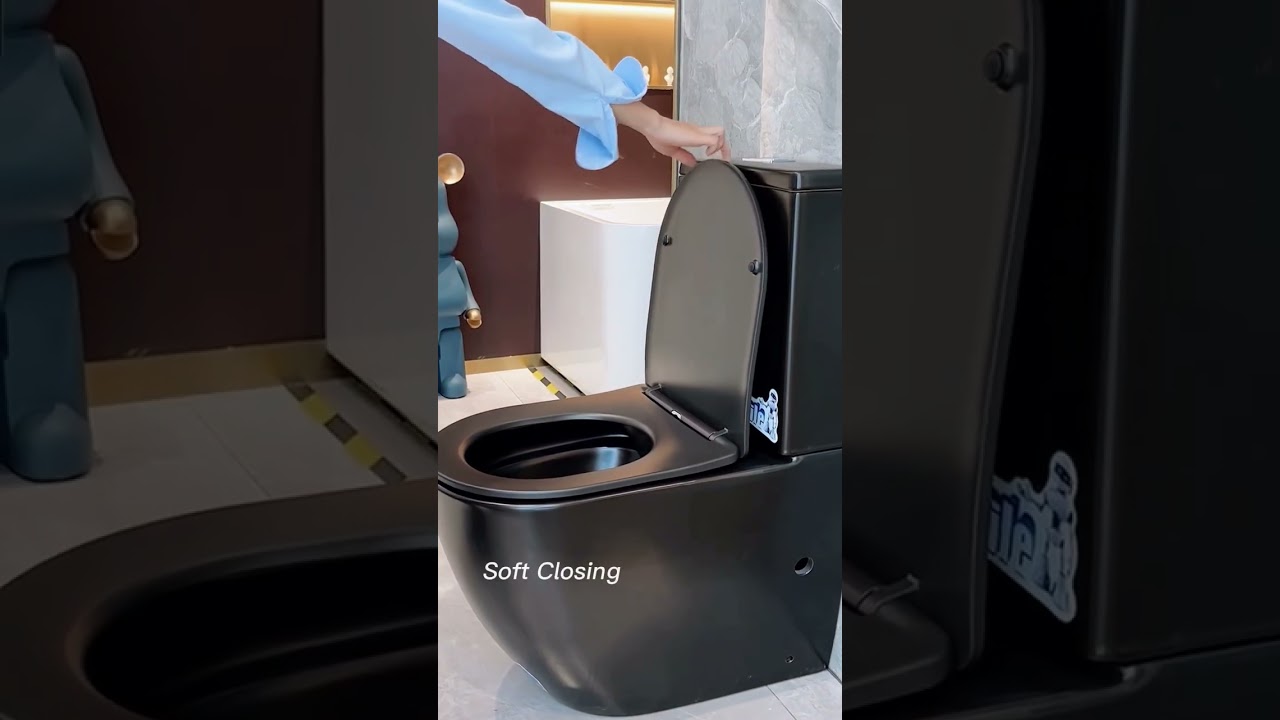 Eye-catching & Edgy Look, Two-piece Black Toilet  #roomtour #shorts #construction #factorydirect