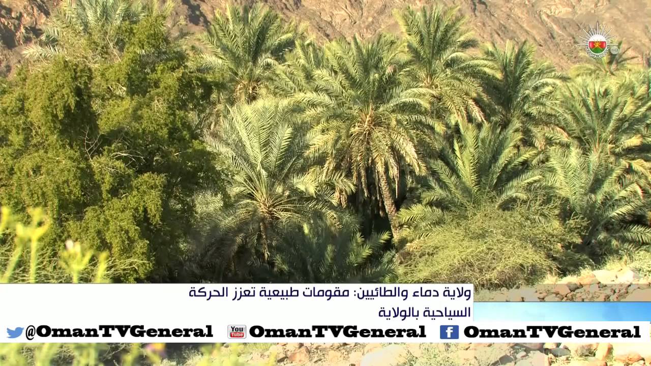 ولاية دماء والطائيين.. مقومات طبيعية تعزز الحركة السياحية بالولاية