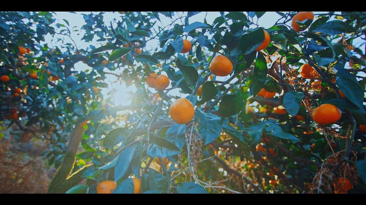 Riverbend - Nuestro camino - Vídeo Corporativo (2024)