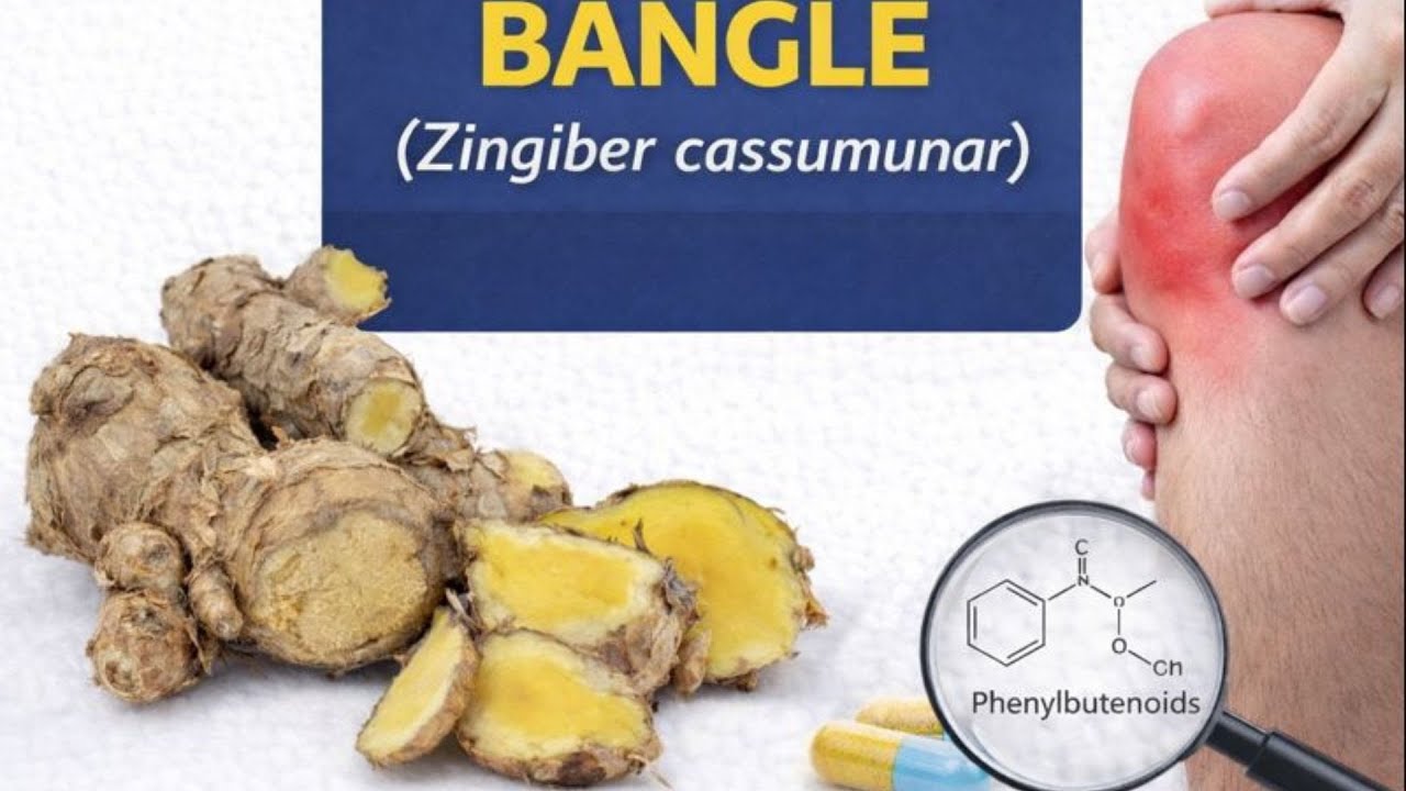 Bangle Herbal Tradisional: Apa Kata Uji Klinis dan Riset Modern?