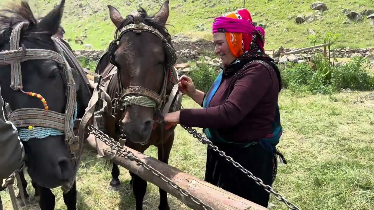 Köy hayatı (Ardahan)