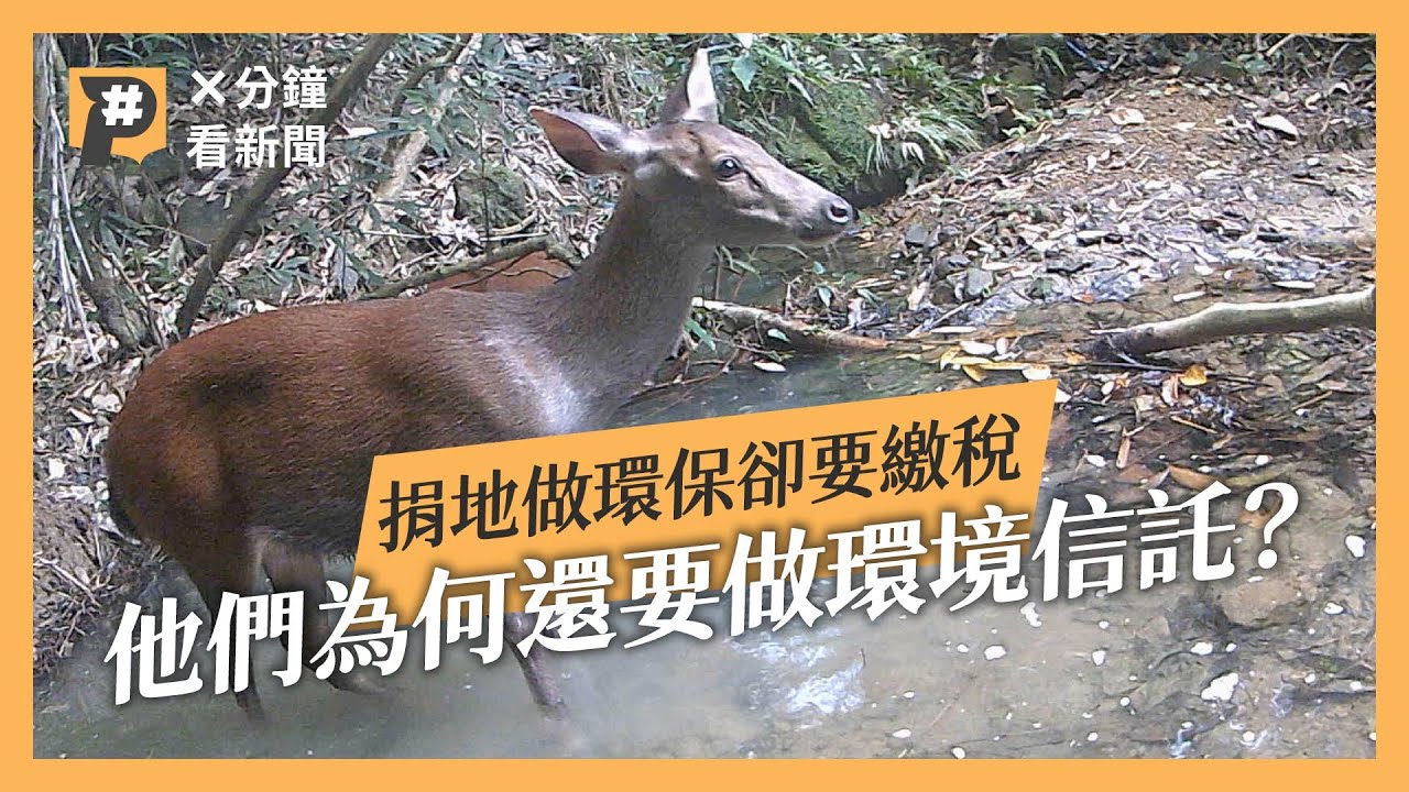 環境信託是什麼？有法可循捐地保護環境要繳稅，只有交給銀行才免稅？｜公視P# 新聞實驗室