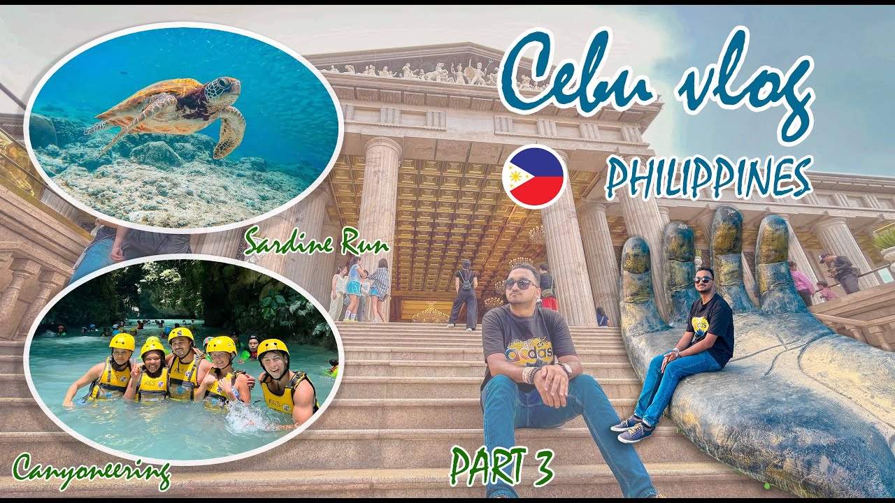 Cebu Philippines Vlog | Moalboal Diving with Turtles Kawasan Falls Sardine Run & Canyoneering Part 3