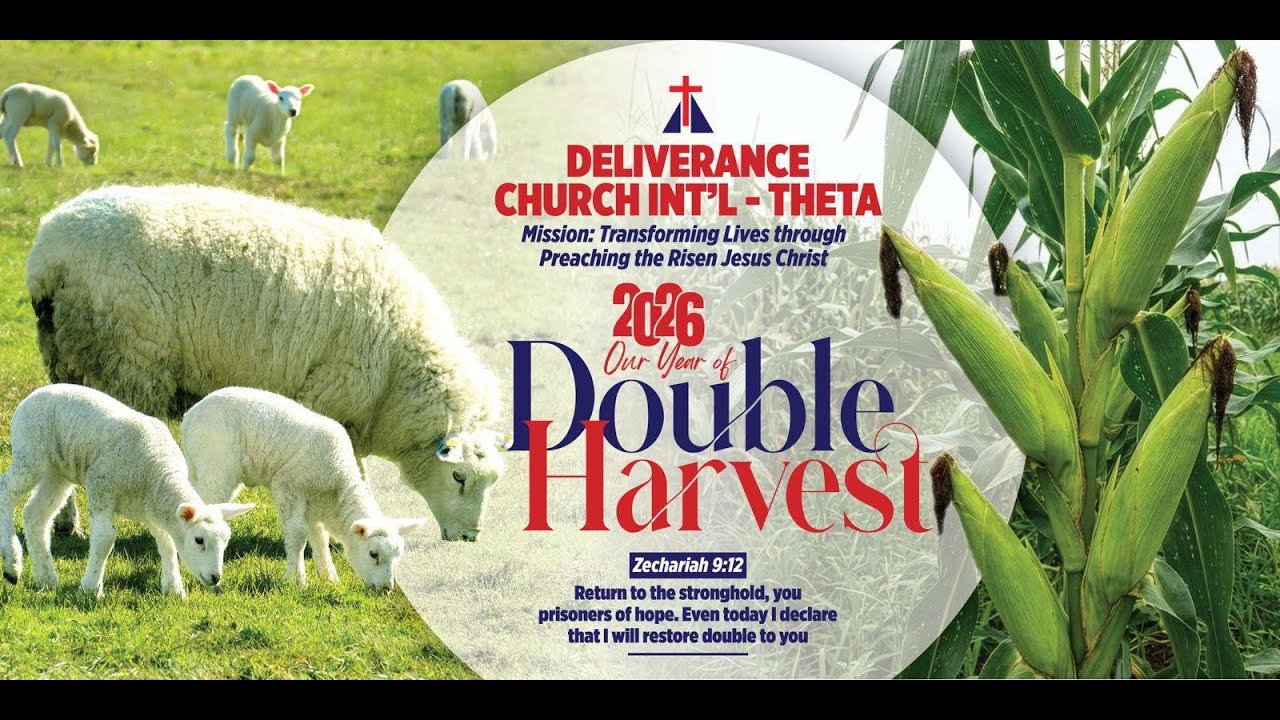 MSG:FACTORS OF DOUBLE HARVEST
