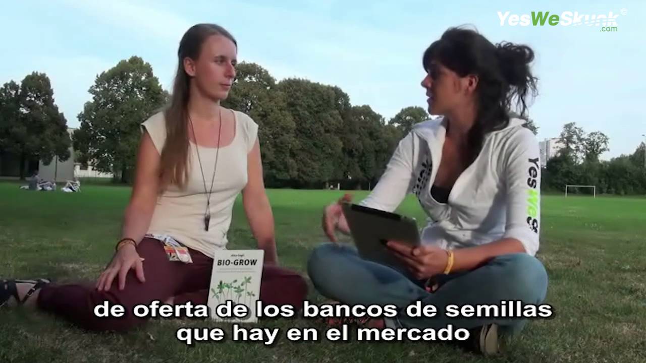 Alice Legit - Espa&ntilde;ol