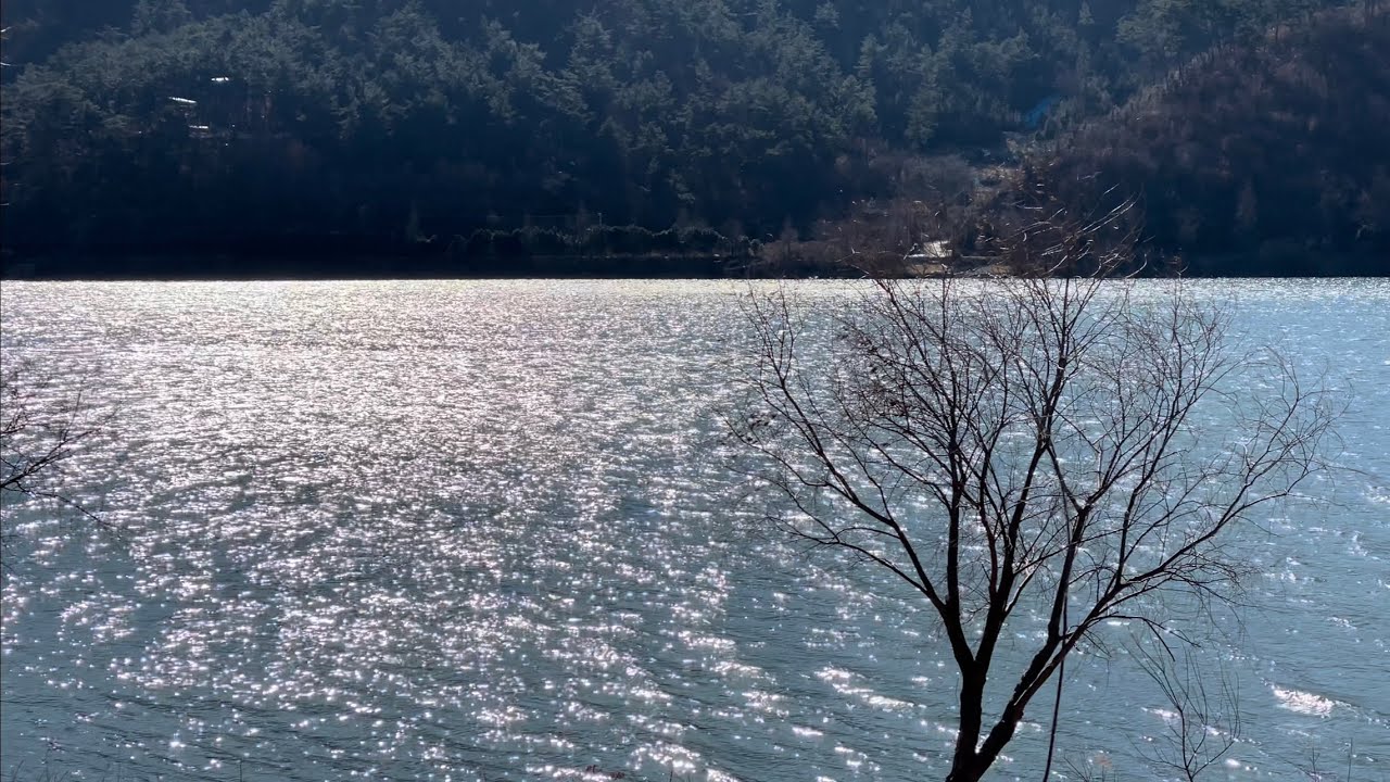 낙동강洛東江 #2-1 / [고요, 비눗방울, 우주] 의 세계 (Video / River ver.)