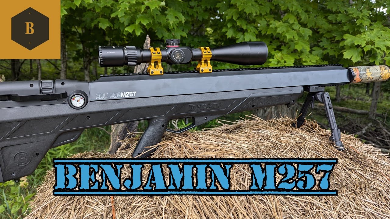Benjamin M257 (testing)