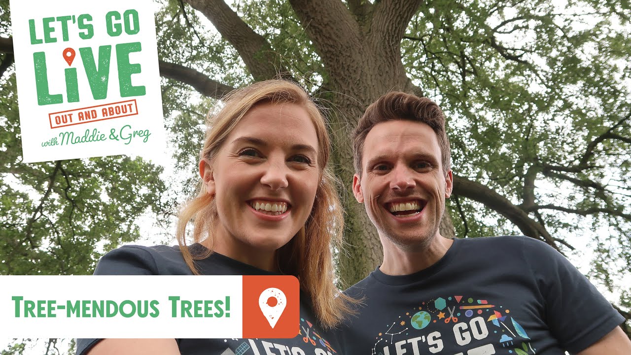 Tree-mendous Trees | Out & About Ep1 | LET'S GO LIVE with Maddie and Greg #52