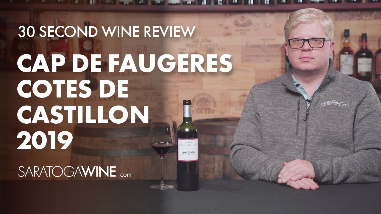 Unbelievable Value In This Bold Bordeaux: The Best French Wine Under $20? | Wine Review