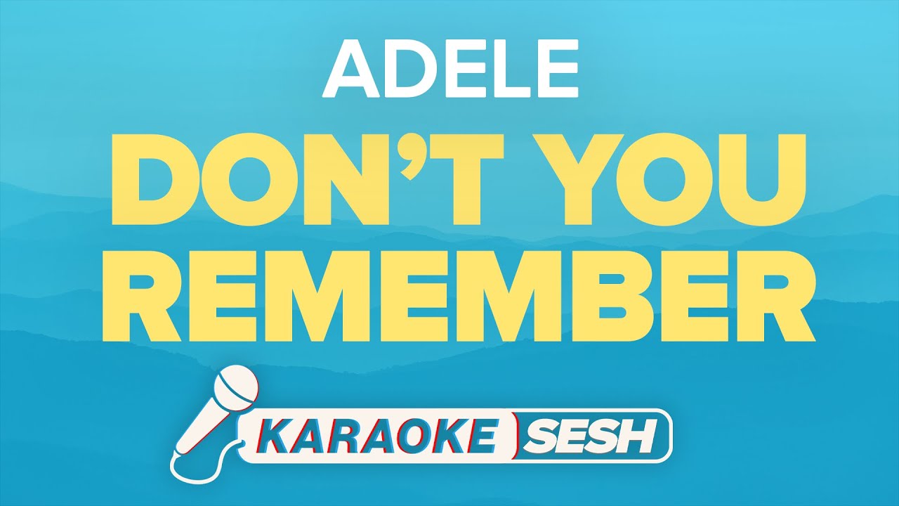 Adele - Don't You Remember (Karaoke)