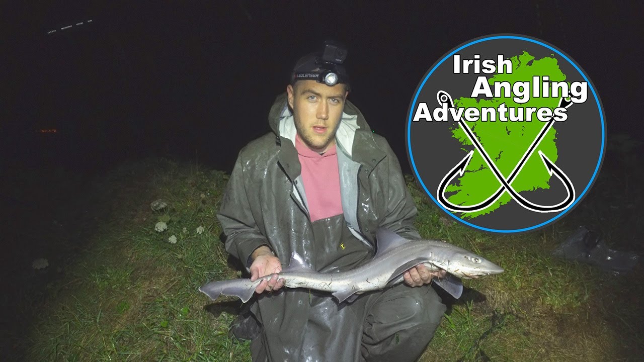 Rock Fishing for Smooth Hounds