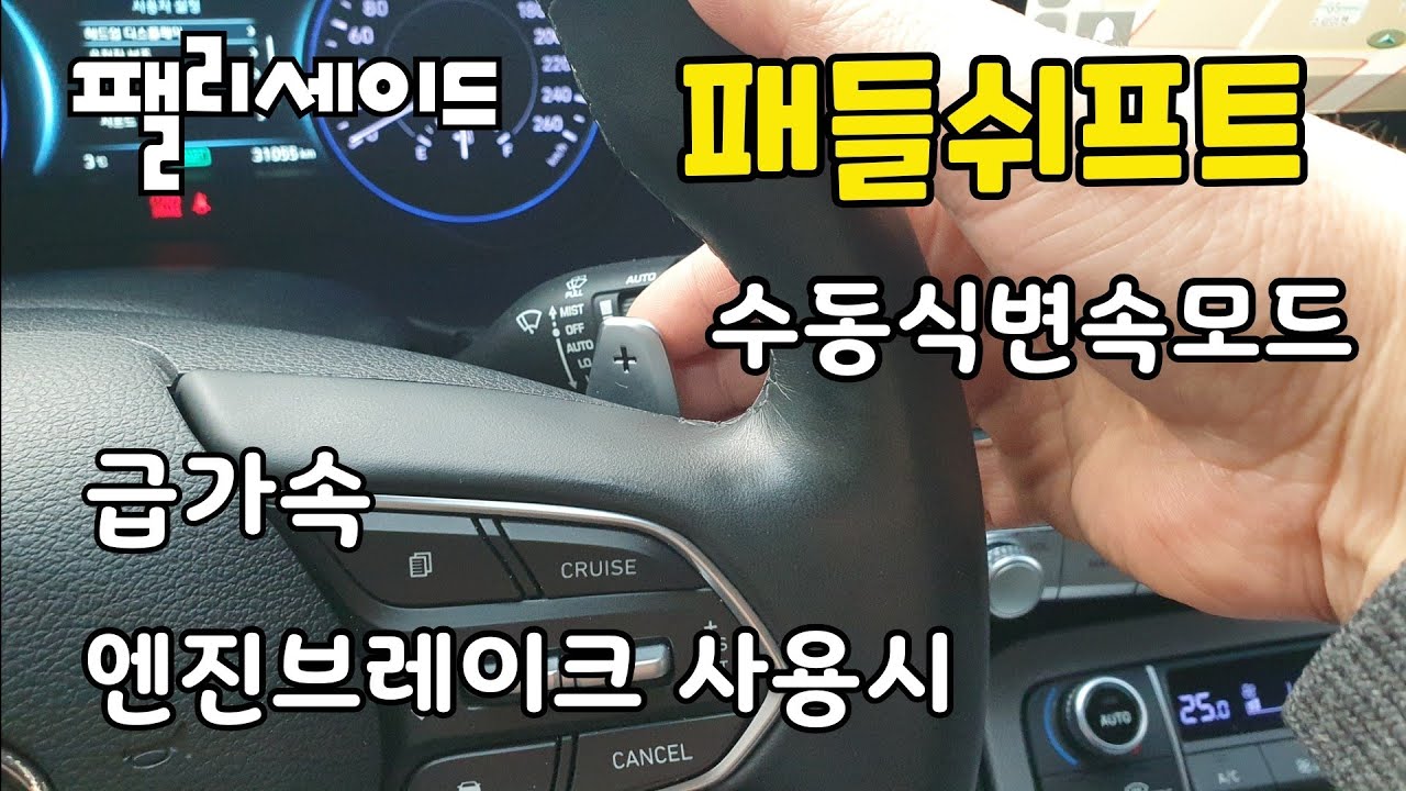 팰리세이드 ㆍ패들쉬프트(수동식변속모드)