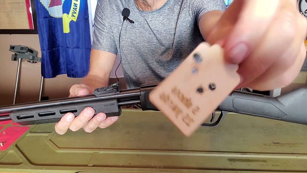 How to clean Rossi Gallery Model .22