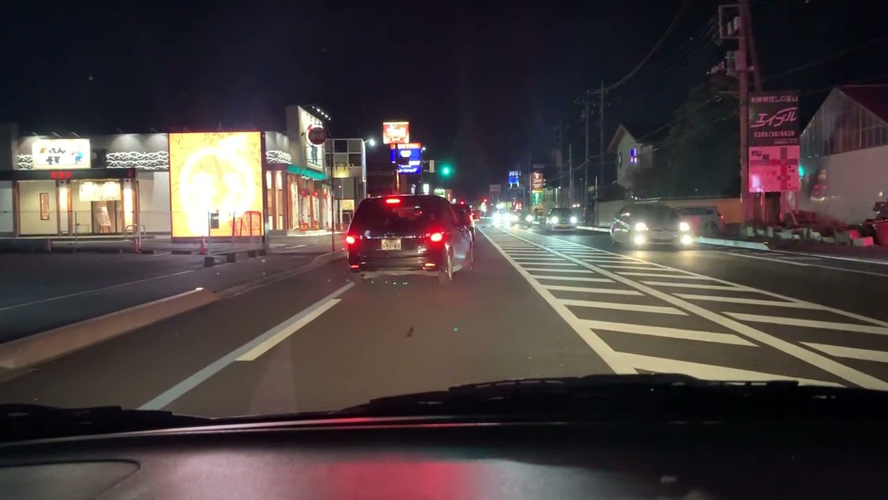 【緊急走行】緊走する小山市消防本部（小山救急1）（小山特消1）