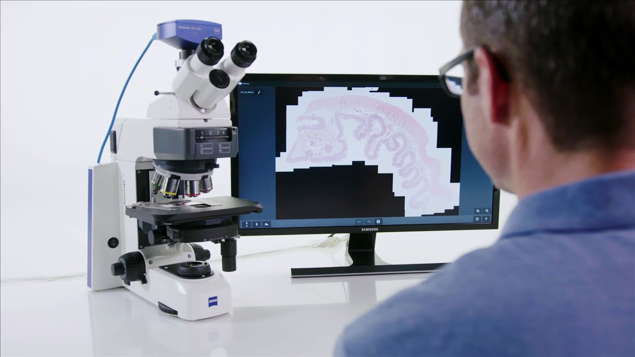 How-to: Acquire Manual Whole Slide Images with ZEISS Labscope