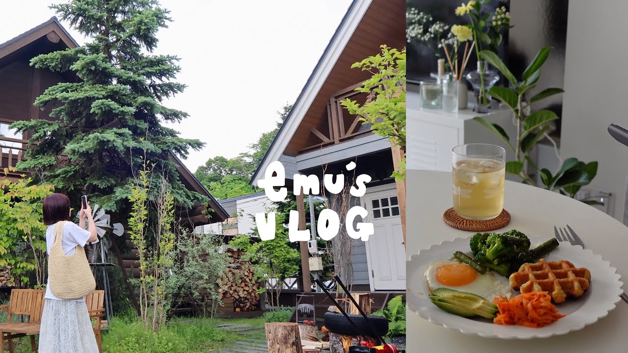 理想のマイホームと出会った日.元気が出るモーニングプレートと生春巻き🥬VLOG