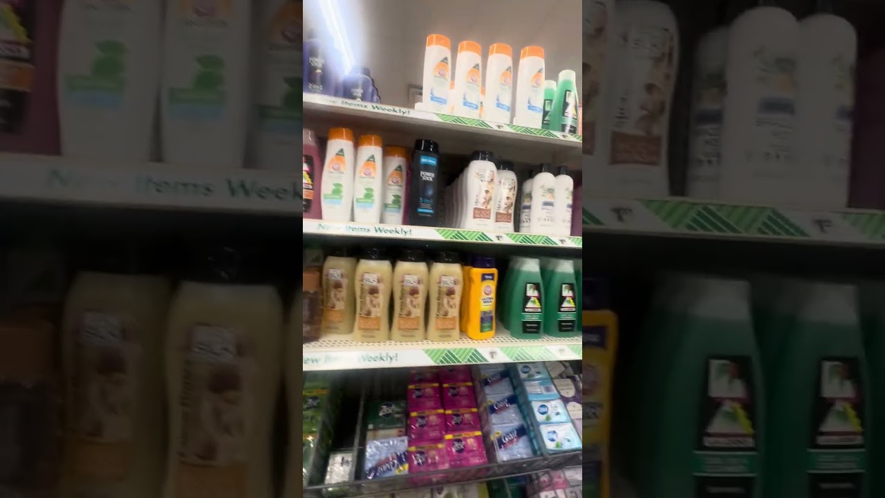 Dollar tree 🌳 Tree shop with me 2026