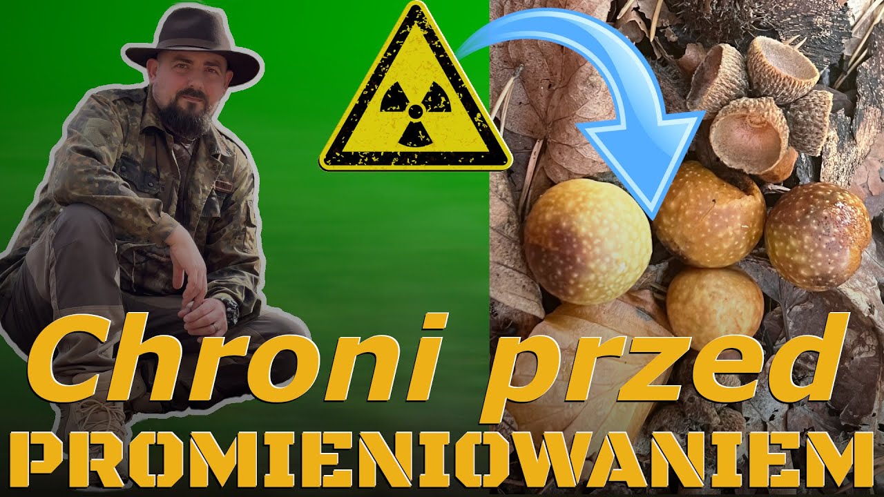 Ocet galasowy - leczy rany, chroni przed promieniowaniem. Jak go zrobić?
