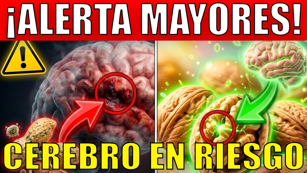 ¡ALERTA! Si Tienes +60 Evita Estos 4 Frutos Secos o Dañarán tu Cerebro