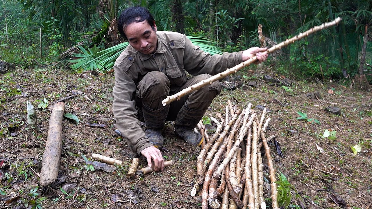 Growing cassava in the Rain | LIVING OFF THE GRID | Episode 52