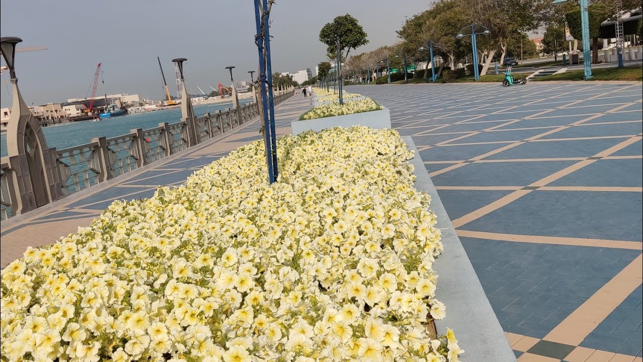 Talahib lidda