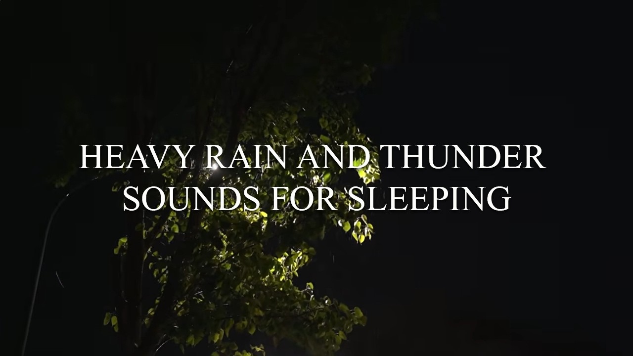 Heavy Rain and Thunder Sounds for Sleeping – Relaxing Thunderstorm Ambience, No Ads