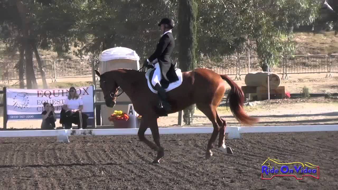 063D Mike Huber on Russell's Reserve CCI1* Dressage Galway Downs Int'l Nov. 2015