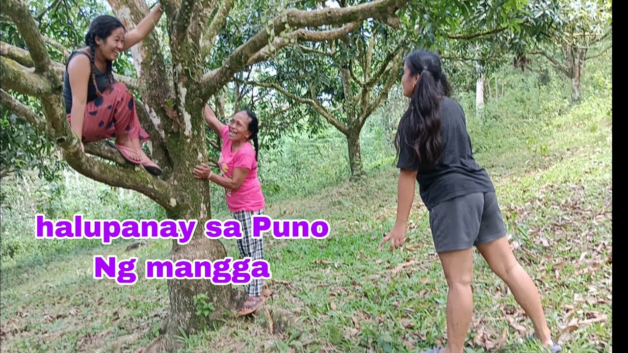 halupanay