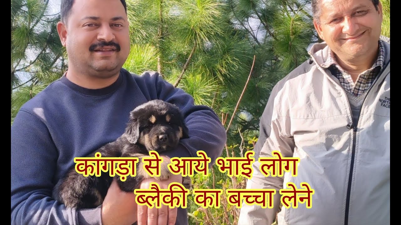 कांगड़ा से आये भाई लोग ब्लैकी का बचा लेने लेने