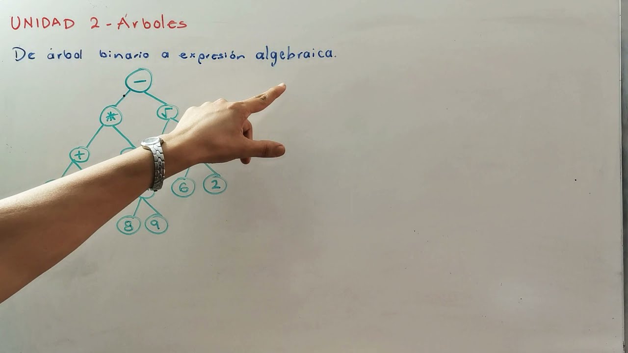 Árboles. De árbol binario a expresión algebraica