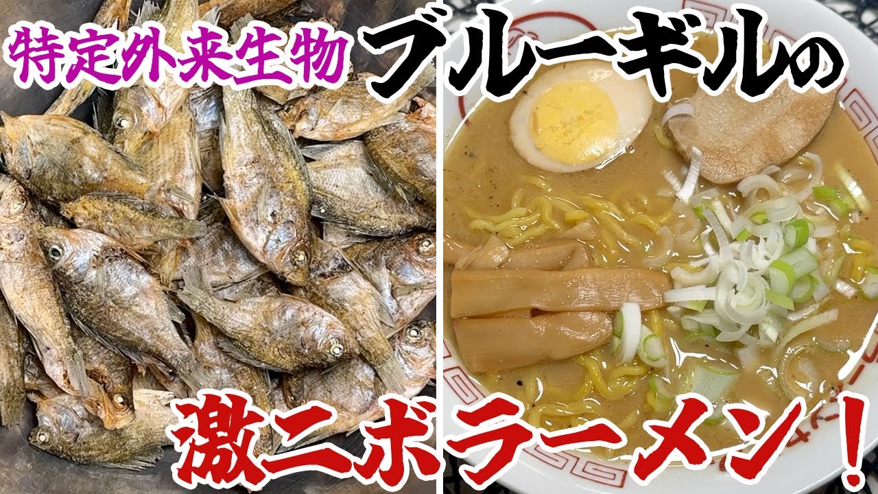 特定外来生物ブルーギルの煮干しで激ニボラーメン