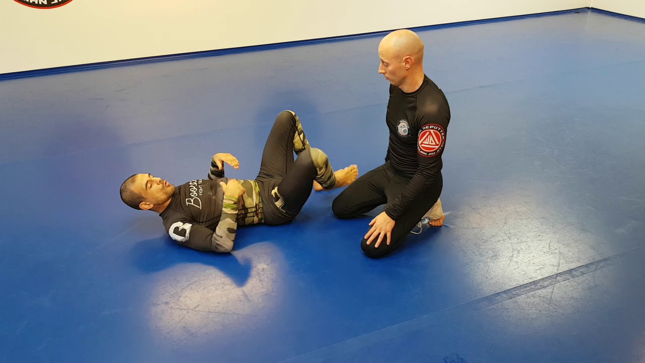 Babybridge, Hipescape, Active Turtle and how they lead in and relate to Half Guard