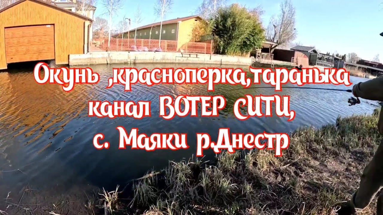 Окунь ,красноперка, таранька наканале ВОТЕР СИТИ,с Маяки р.Днестр
