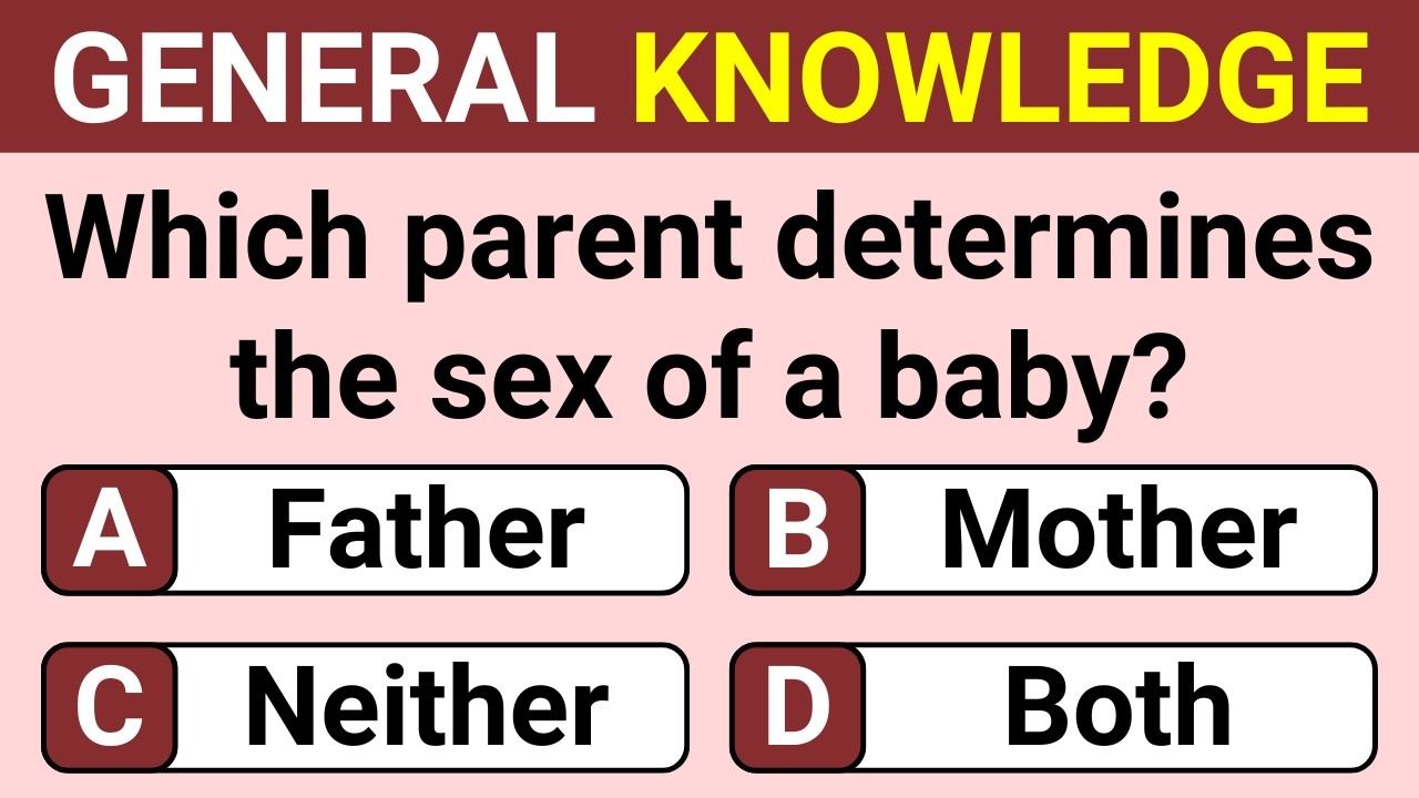 Think You Can Outsmart This Quiz? Only Geniuses Get a Perfect Score | Trivia Quiz 213