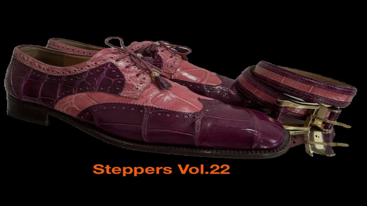 STEPPERS VOL.22