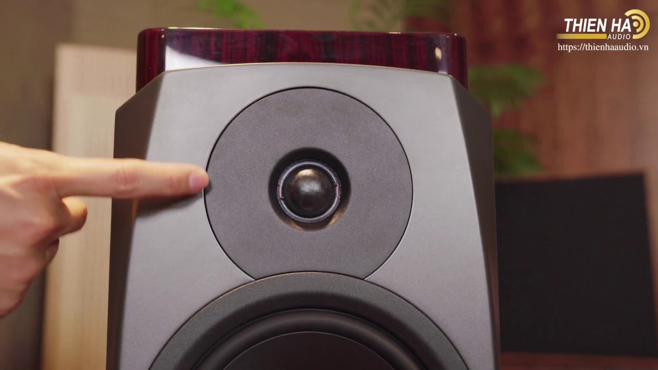 Loa Dynaudio Confidence 20 - Bookshelf Hi-end Thế Hệ Mới Nhất Của Dynaudio - Trình Diễn Thượng Hạng