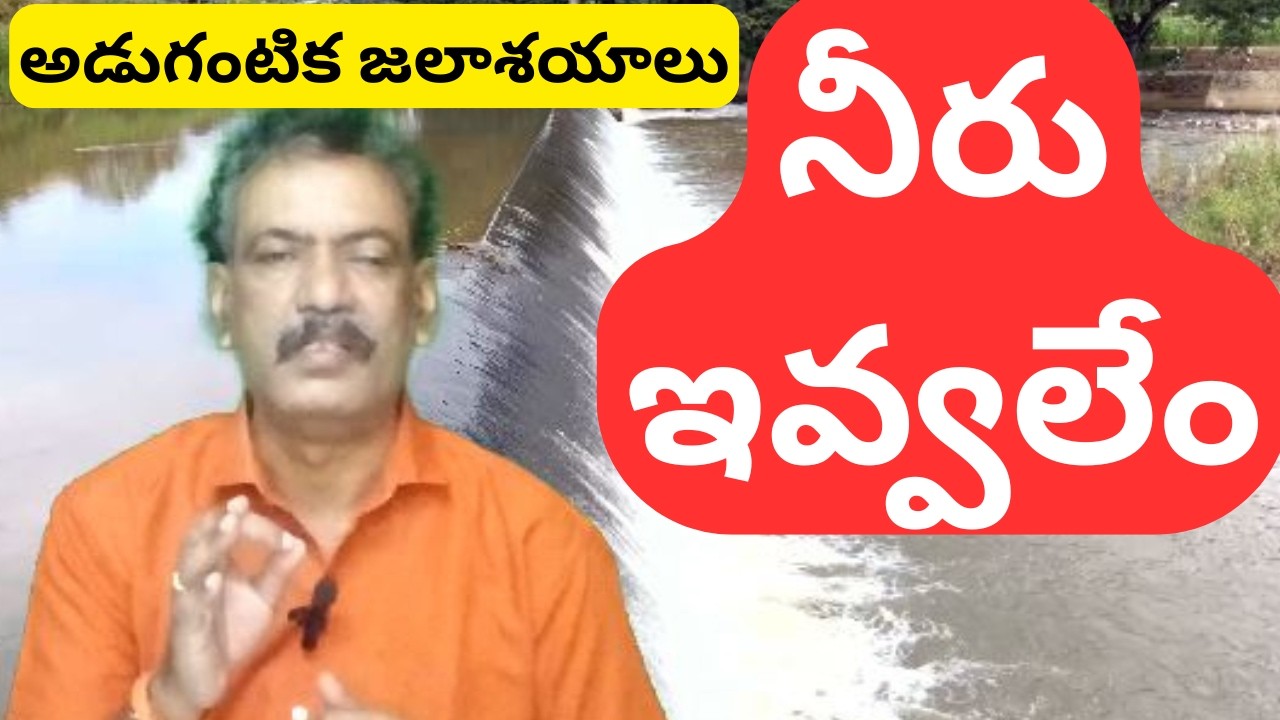 Krishna River Projects Flood Level || Godavari River Dams Inflows || Srisailam Dam Flood